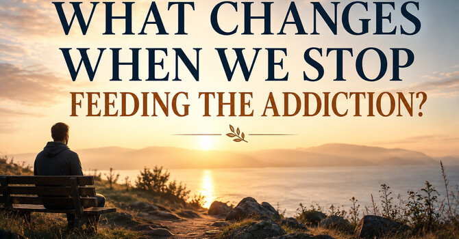 What Changes When We Stop Feeding the Addiction? image